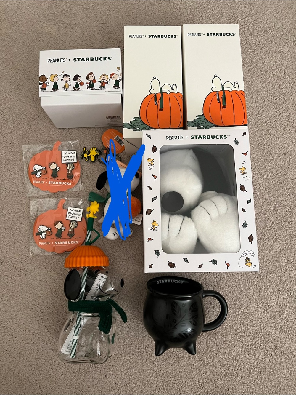 Starbucks x Peanuts Snoopy big lot